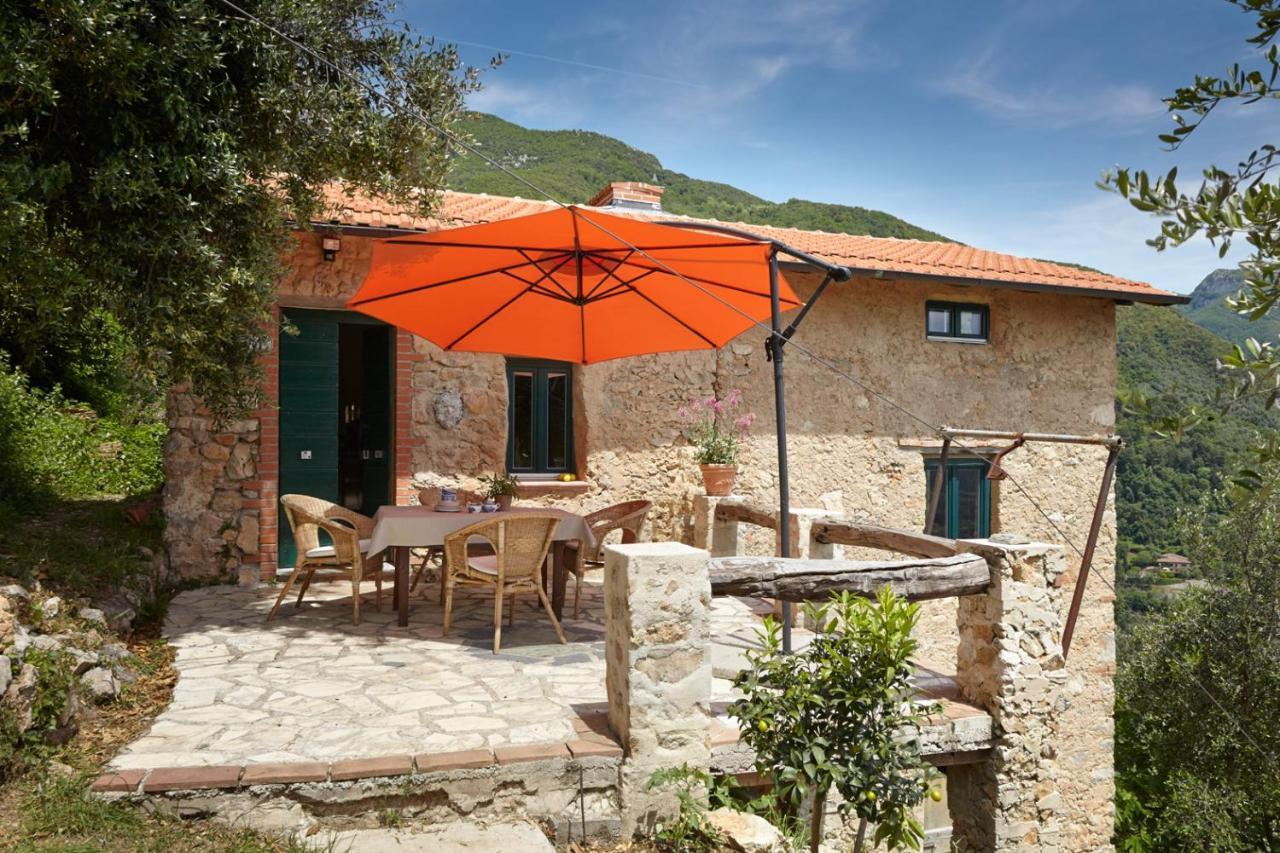 Casa Berti - Urlaub Im Olivenhain Camaiore Luaran gambar
