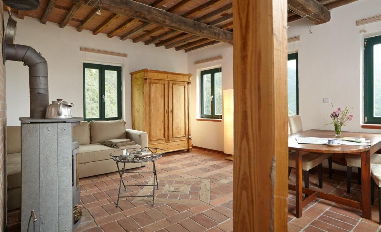 Casa Berti - Urlaub Im Olivenhain Camaiore Luaran gambar