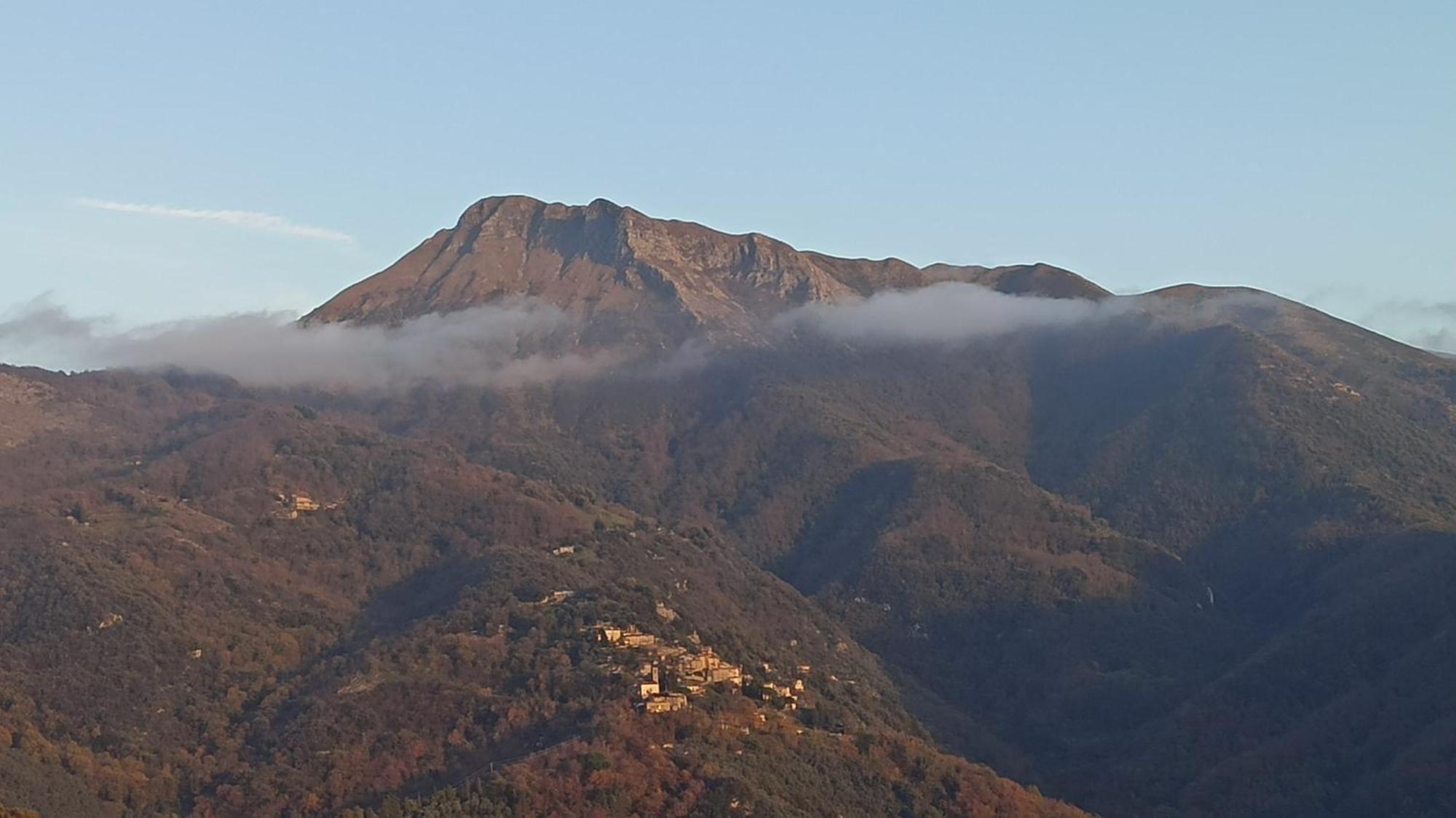 Casa Berti - Urlaub Im Olivenhain Camaiore Luaran gambar